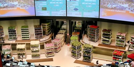 Overview of flowers of FloraHolland