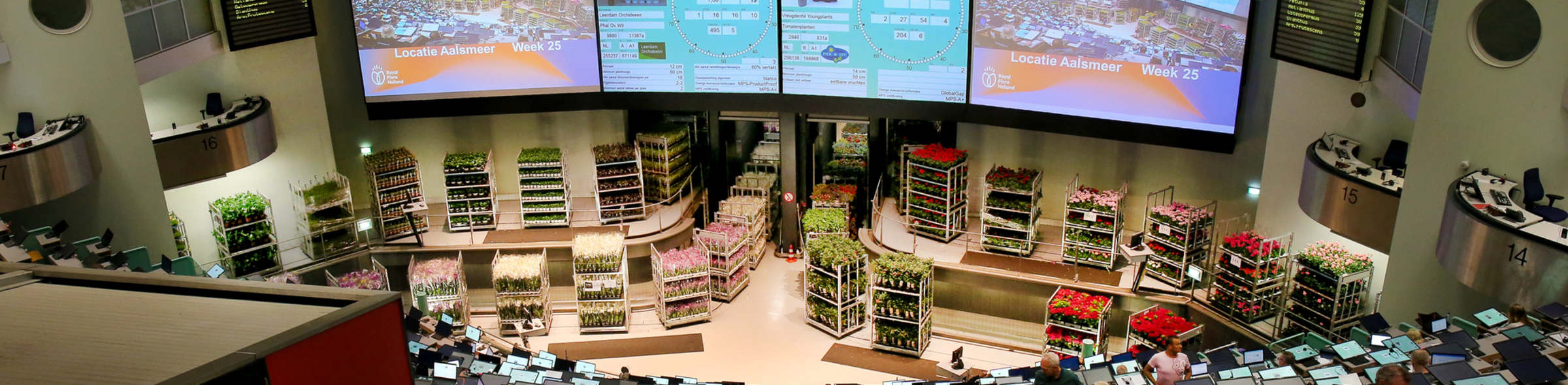 Bloemenveiling in Aalsmeer met handelaren en bloemrekken.