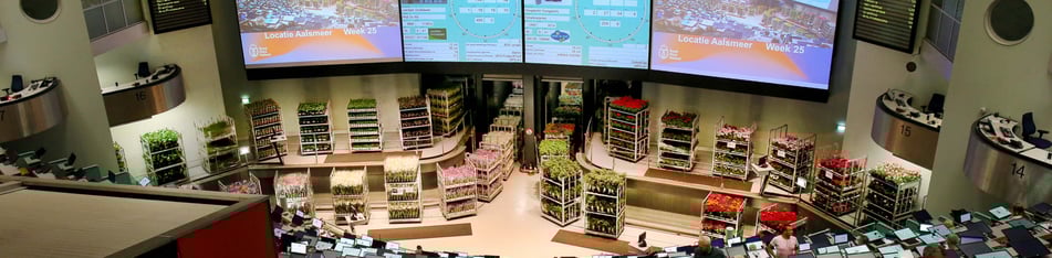 De bloemenveiling in Aalsmeer