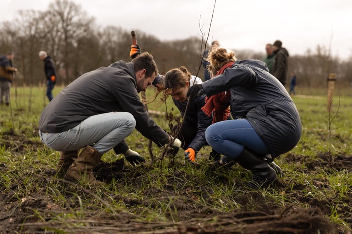 Vrouwen en een man die een boom planten