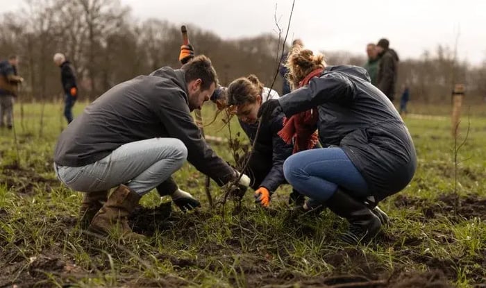 mensen die bomen aan het planten 