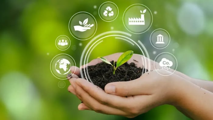 Hand met een plantje erin.