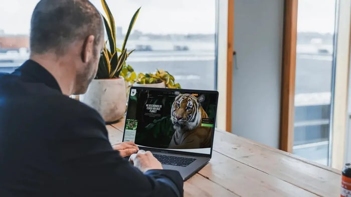 Man at his desk looking at his laptop screen