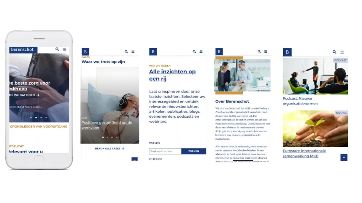  berenschot website overview