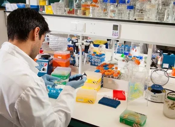 Doctor doet onderzoek