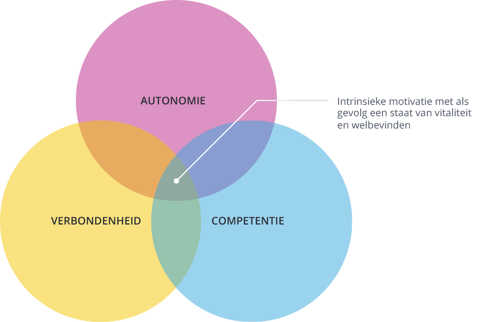 drie cirkels met autonomie verbodenheid en competentie