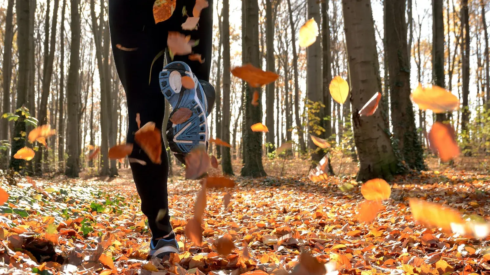 Iemand is in het bos aan het rennen