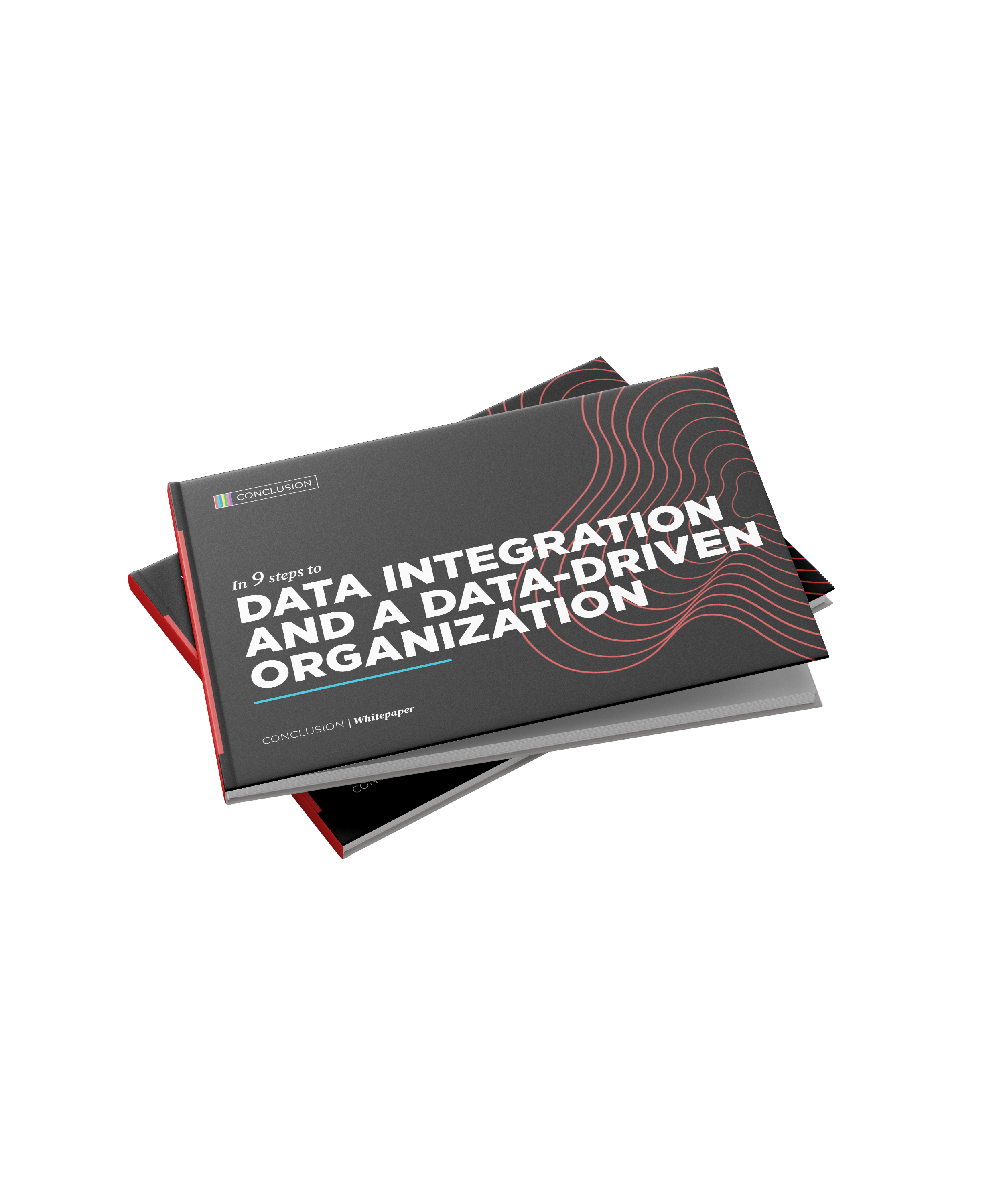 Whitepaper-data-integratie-EN