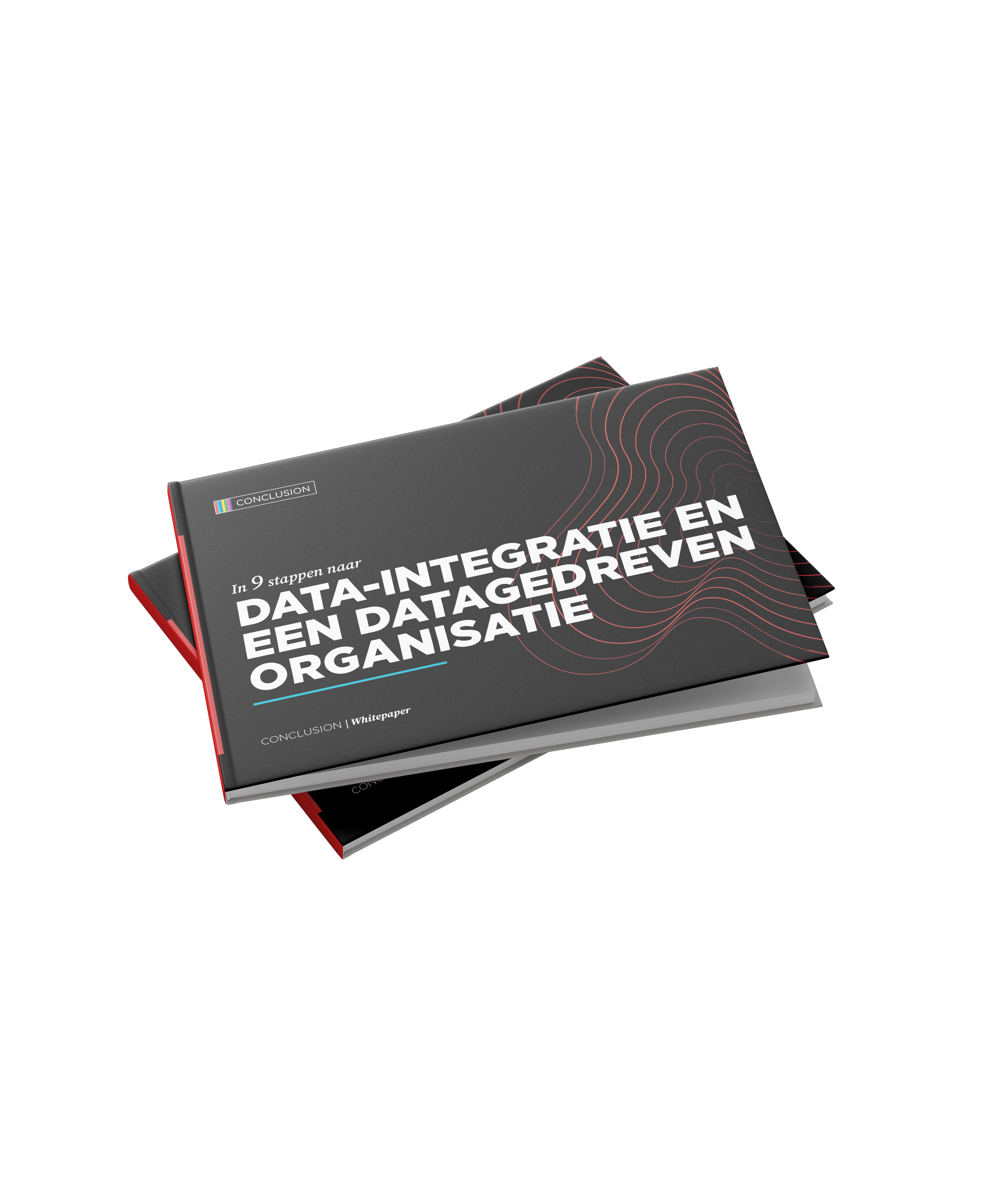 Whitepaper-data-integratie-NL